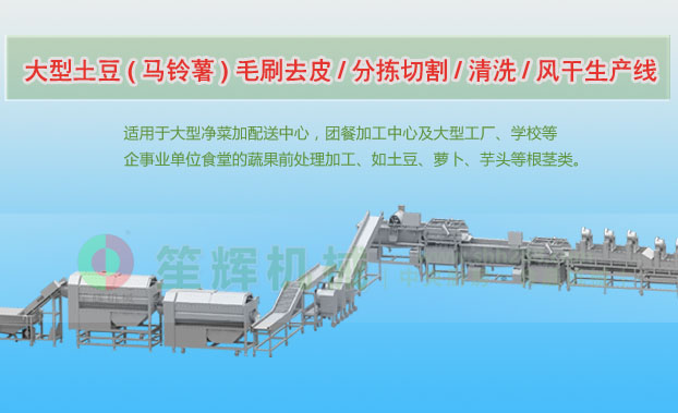 颍东连续式土豆去皮清洗切割风干生产线